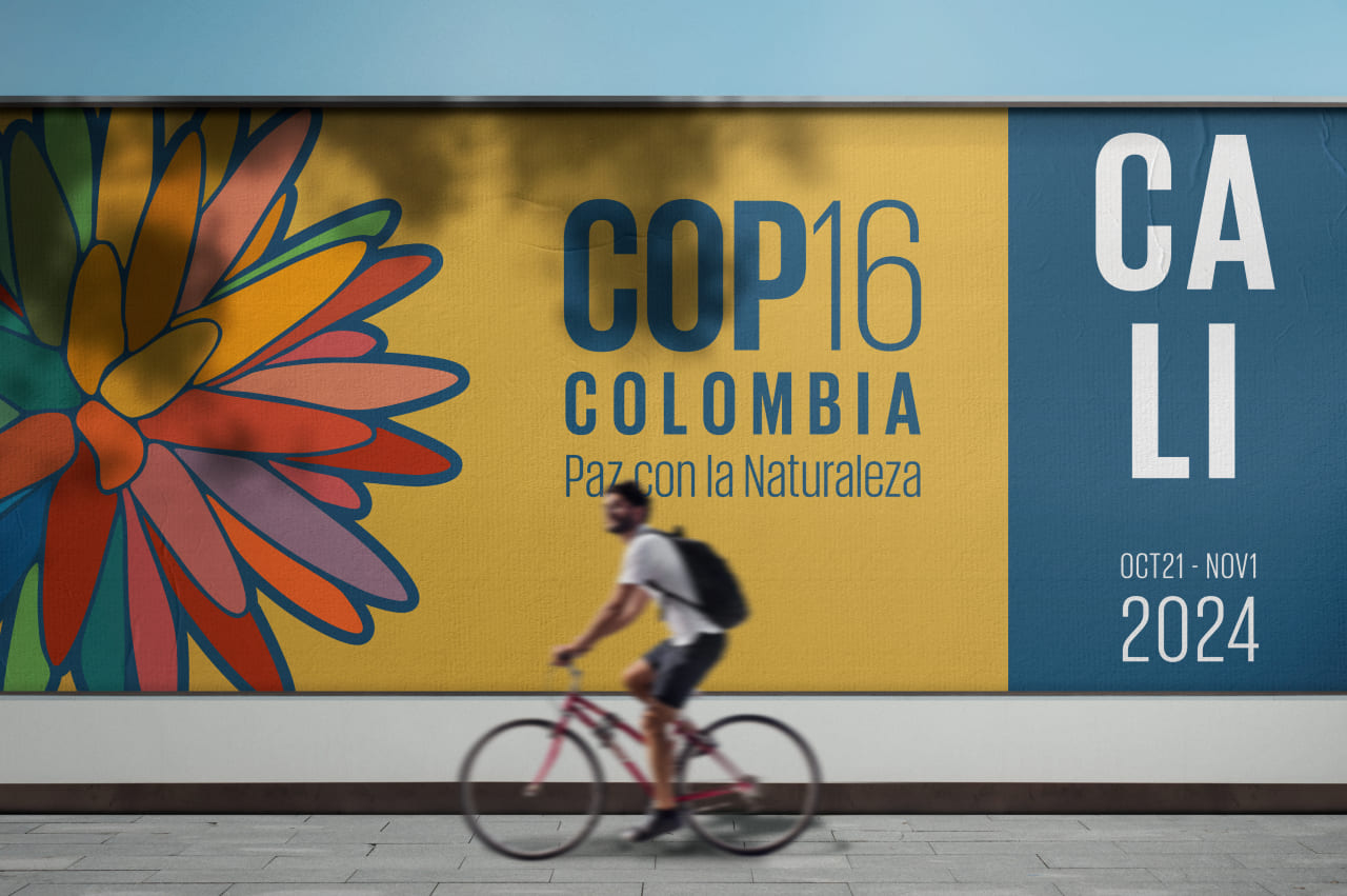 Riunione del Corpo Ausiliario per il consiglio Scientifico, Tecnico e Tecnologico Pre-COP16